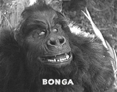 Corrigan in Darkest Africa