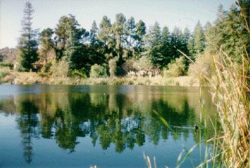 Franklin Canyon Reservoir