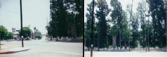 Selig Zoo and Studio Site